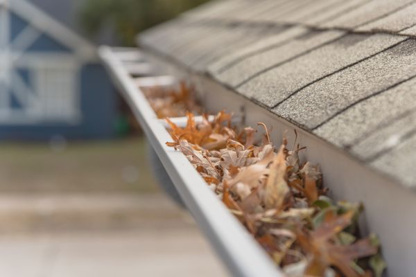 Leaf Barrier Installation in Nokomis